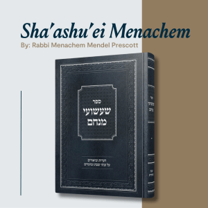 ספר שעשועי מנחם - Sefer Sha'ashu'ei Menachem